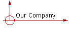 Our Company